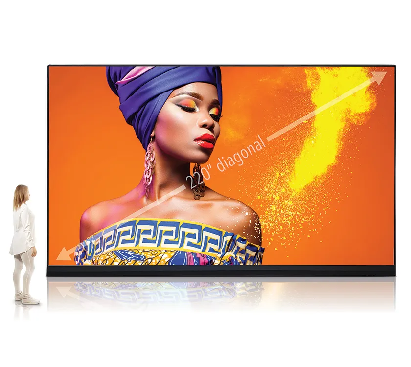 Sharp DV LEDs 220" wall